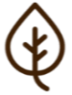 Gemini_Generated_Image_6q0ccm6q0ccm6q0c__2_-removebg-preview.png